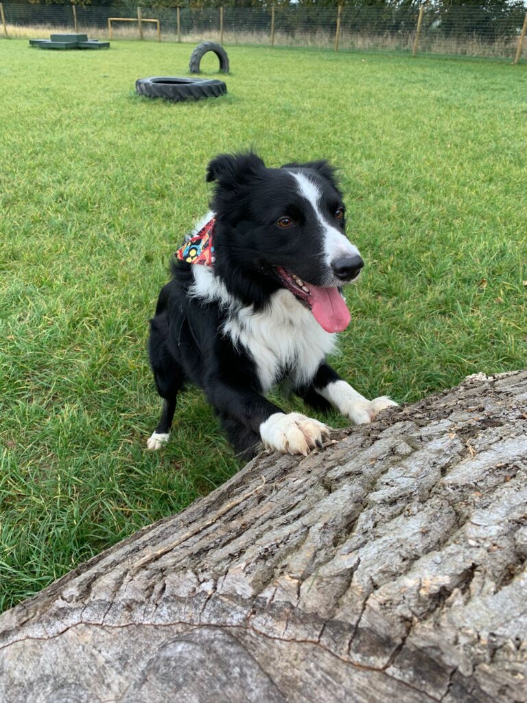 2046 01b1afaabfb4f7354ed1c68b115f1613 1 768x1024