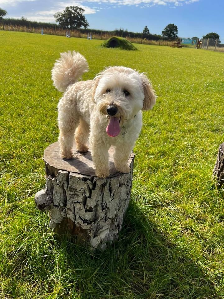 2046 0202319dc571b26d3563df707d754ac1 1