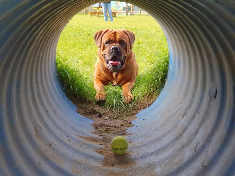 2046 2ef2131aa8cd9e91d2be27933a71673d 1 768x576