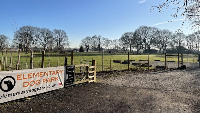 2047 04cdfda50f66e4ad909a8e2f8f943898 1 768x433