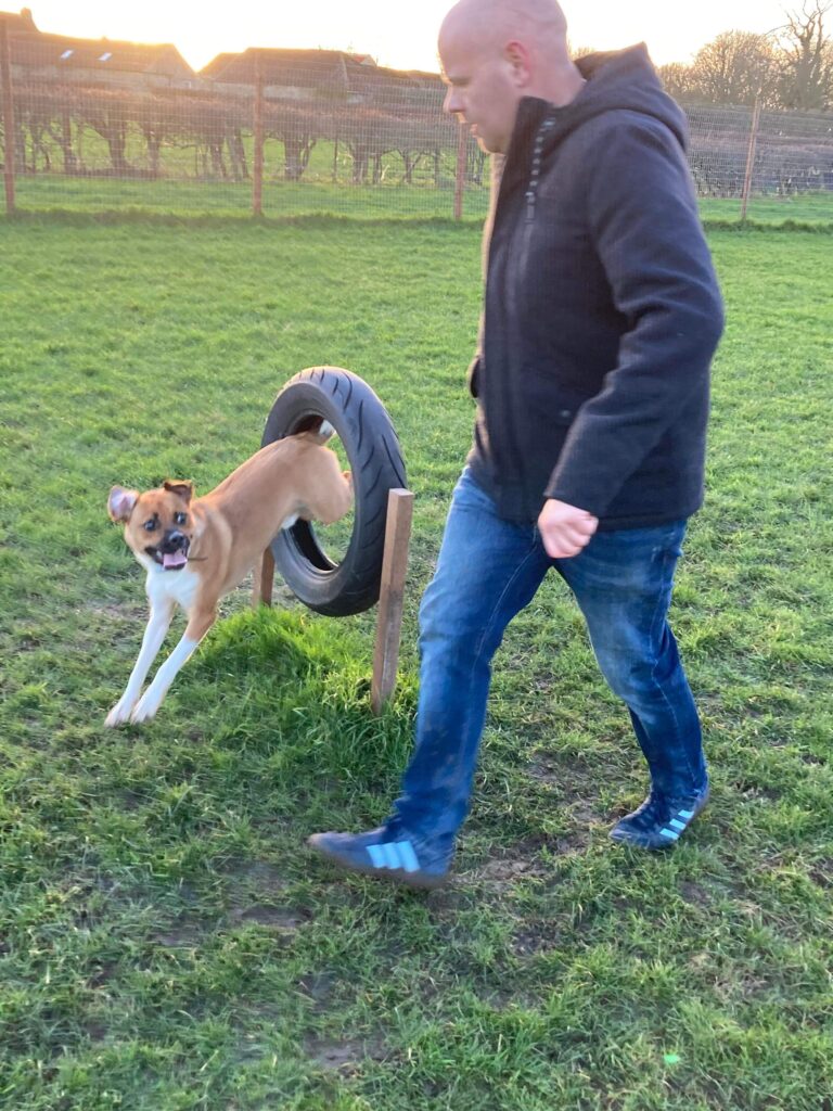 2048 53fe18d89b66df568826613726f82834 1 768x1024