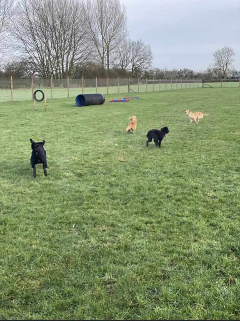 2048 99a82fb8424270d4acaf3740016756fe 1 768x1024