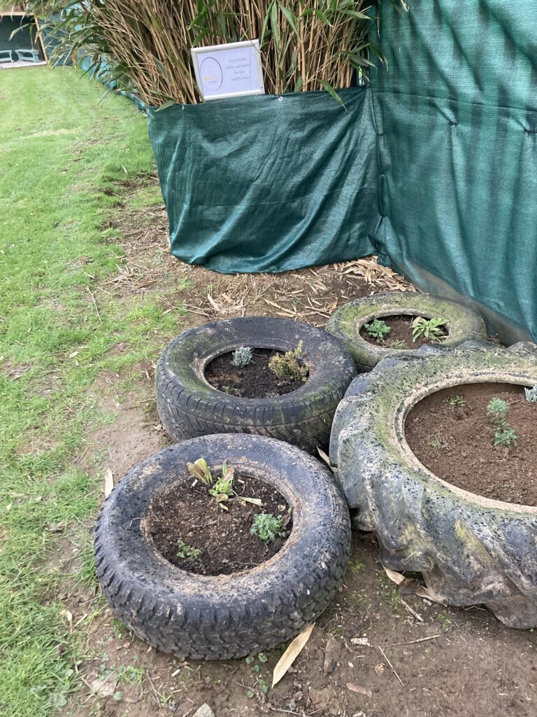 2049 1a4b8df4cda24fd7177230d0ec768f59 1 768x1024