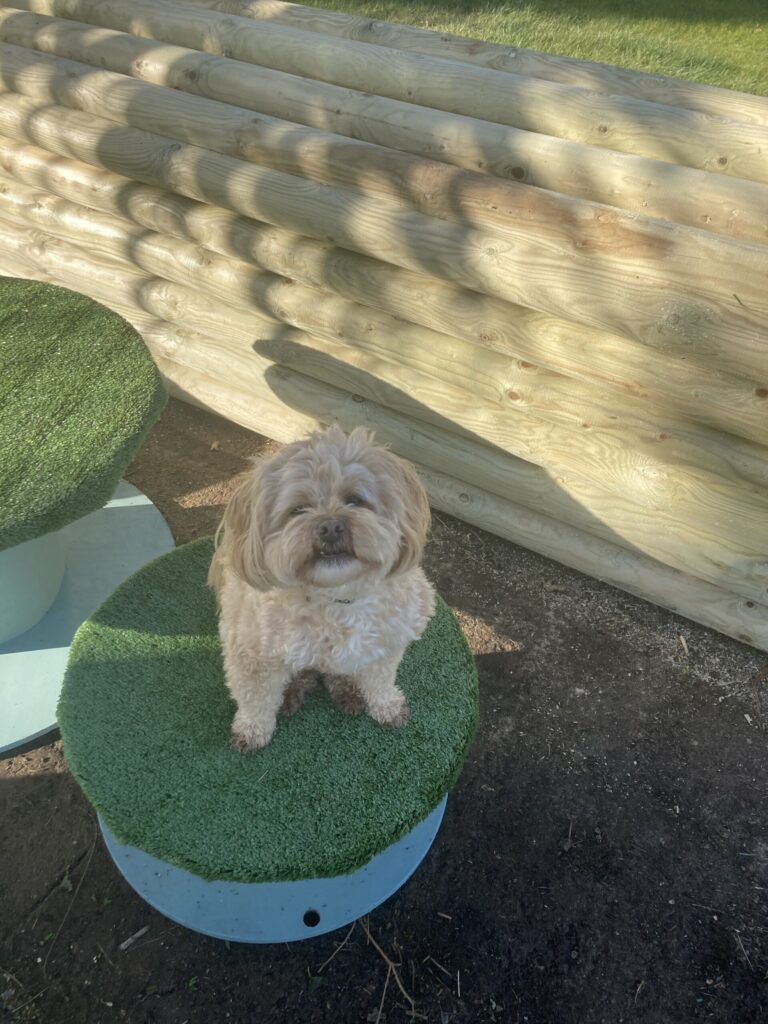 2049 b2867f2a59f1e3dc8146defc4a93ae26 1 scaled 768x1024