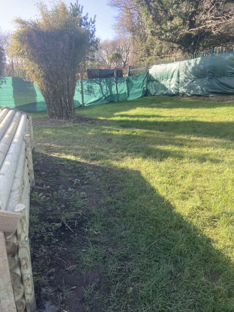 2049 efb97a65b2ddbd30e7bd9acfbb7bd52a 1 768x1024