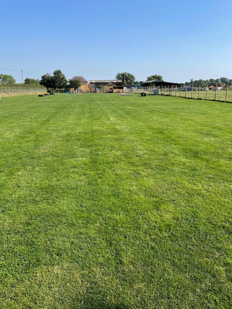 2051 2f502a748c253d798a11be47e95a52f7 1 768x1024