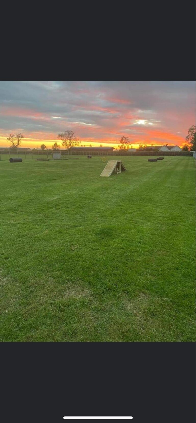 2051 3f876c8924433a47f75a9721c306e163 1 768x1661