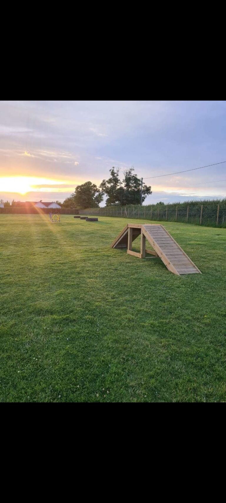 2051 6a6c8cdba4b4cb27aa24bf1a4b4a1d4e 1 768x1707