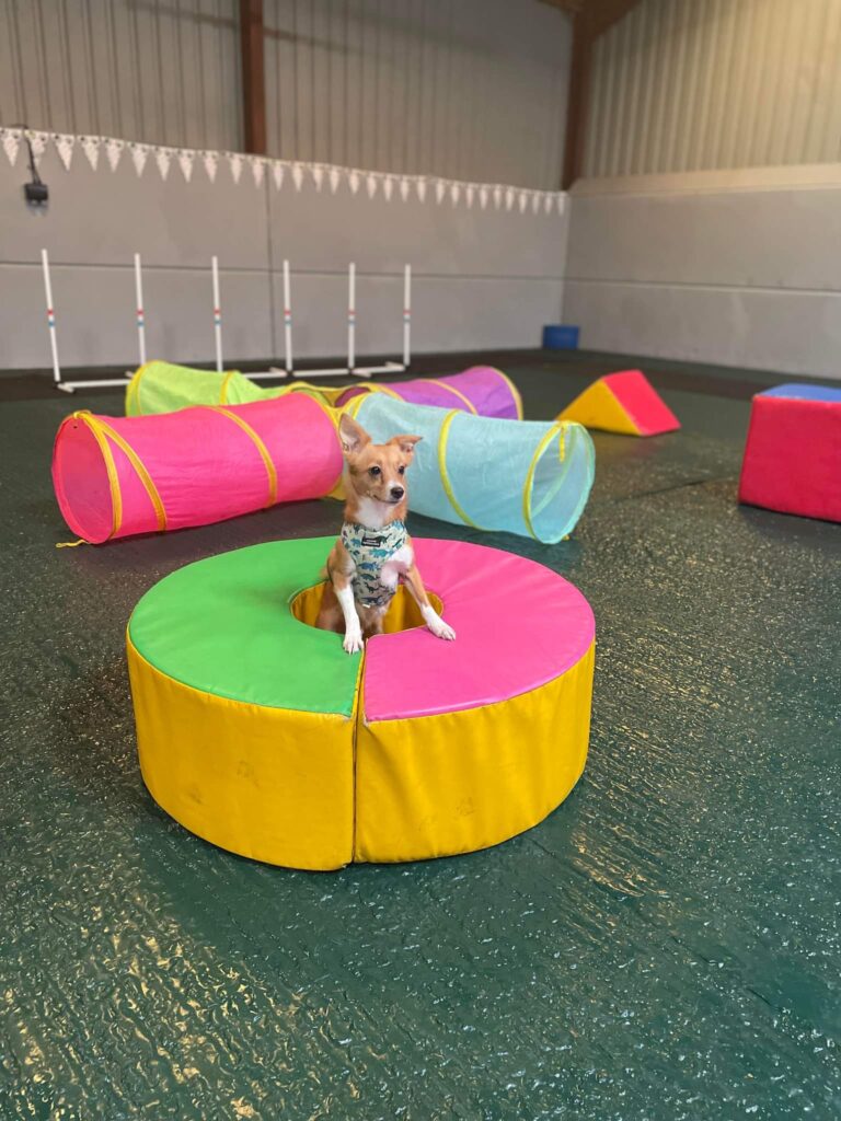 2051 a2038674f3dacd46fa009ea556ce8646 1 768x1024