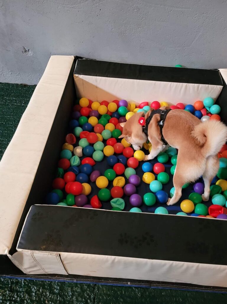 2051 b59c8b288476e6e5e7832b3b1e4baa12 1 768x1029