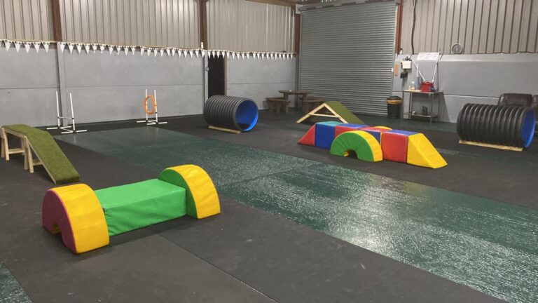 2051 fc6b3b56bd343d2803f1c7abd1912b64 1 768x432