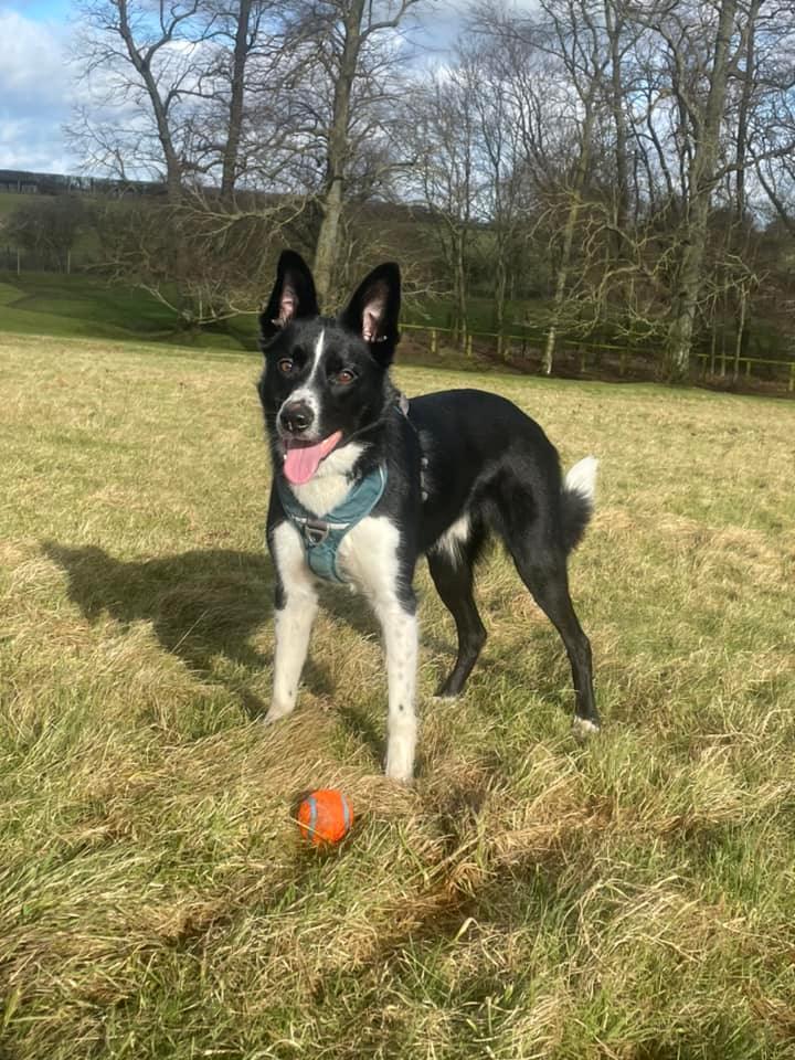 2052 03e936e7d76f8166c928c7f6e57c9c9c 1