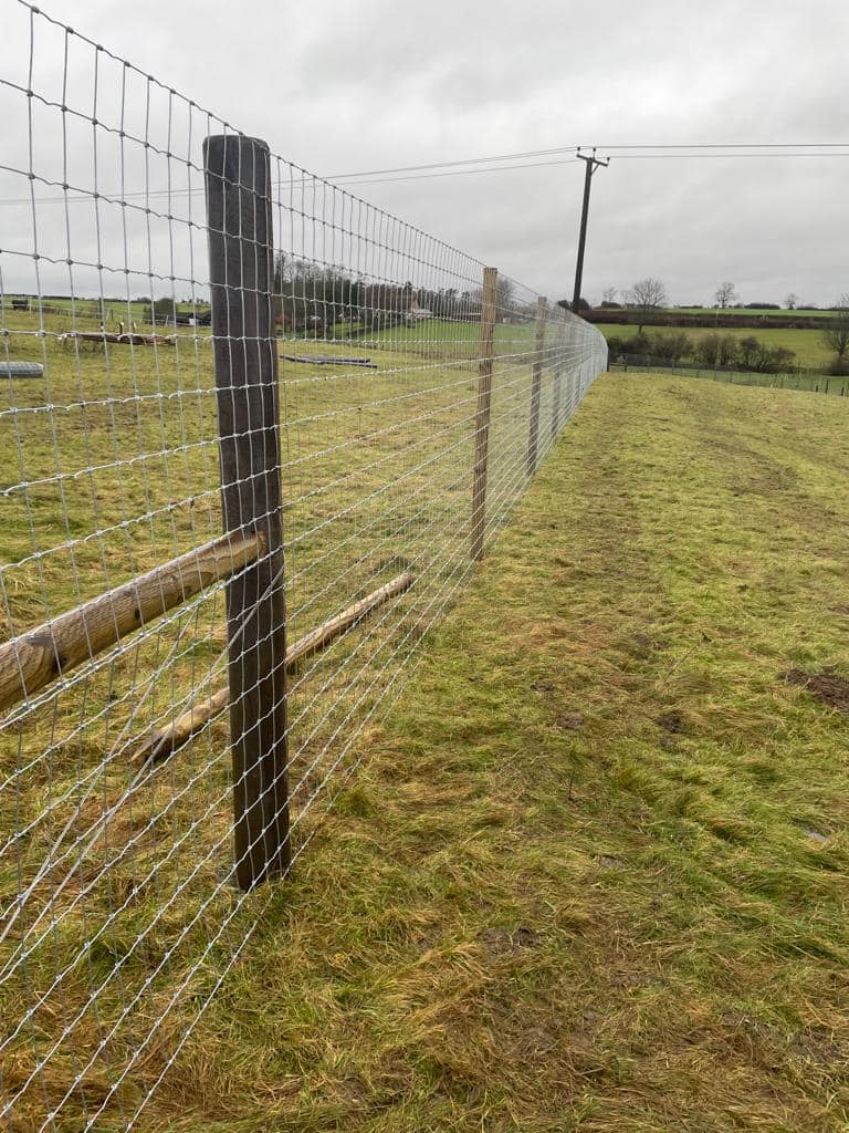 2052 2e0acee0a90f4593dd3d3caaf5ae8e18 1