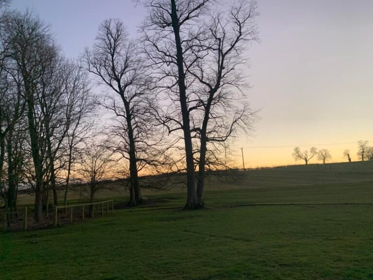 2052 4e443c9d3e119df101eb745082987ff7 1 768x576