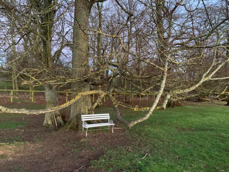 2052 9614cbf6dae811581f491f7e38c1e499 1 768x576