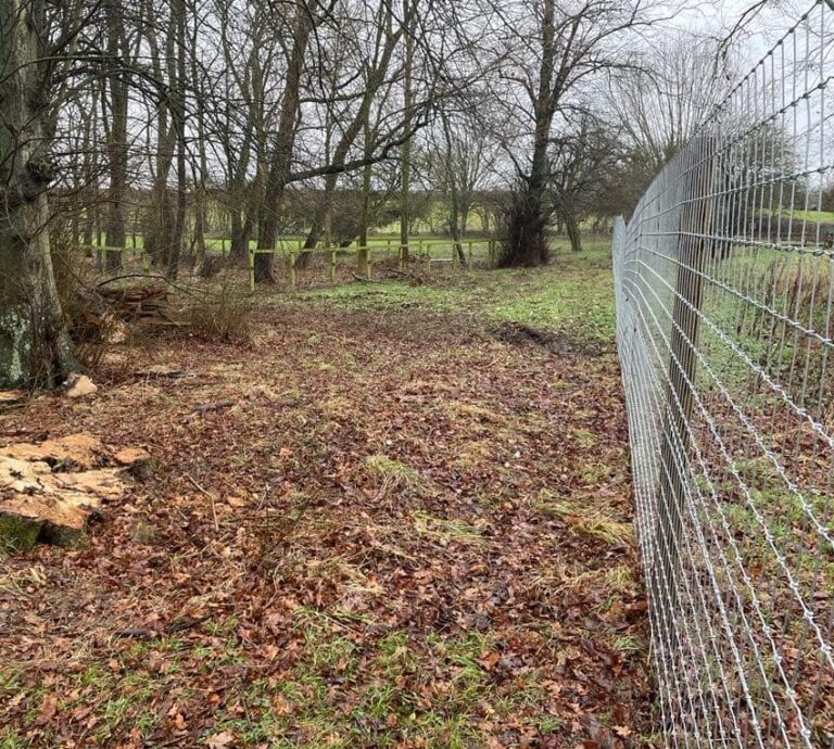 2052 c5973860e9bf89922882cd796b54ed9b 1 768x690