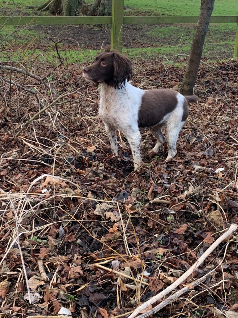 2052 ea2ec3d0b94374efc46af58db240eb1c 1 768x1024