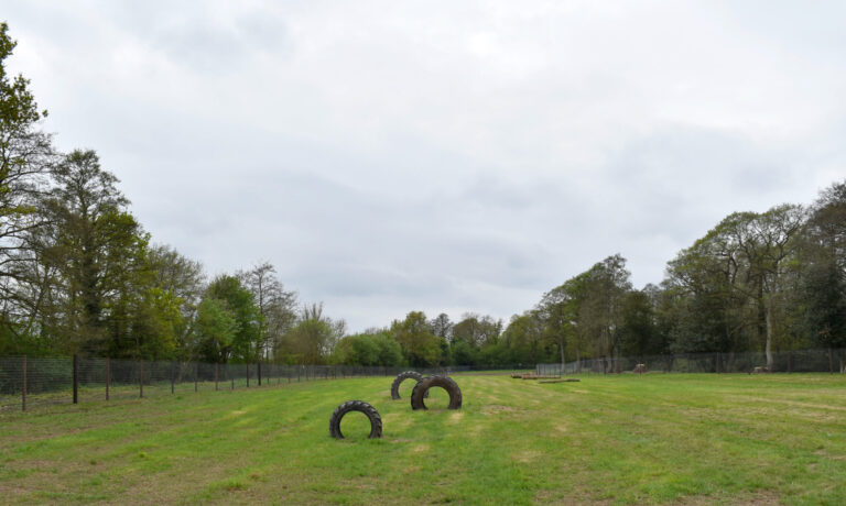 2053 38eaffc46e86b65f1052843b55be53b1 1 scaled 768x460