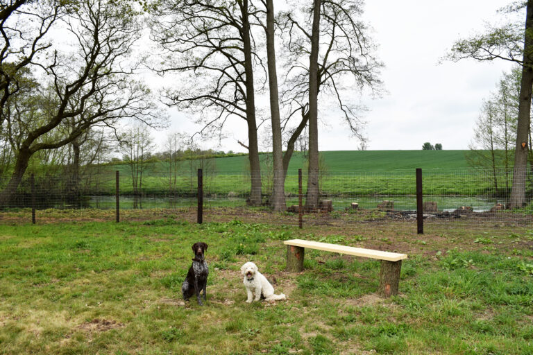 2053 b258d3bc0c8bd669553b87cef9f02e53 1 768x512