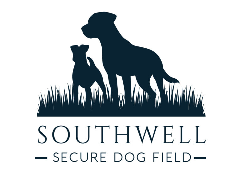 2053 eb9015bbbe7b4dbe6921af1336d85a92 1 768x593