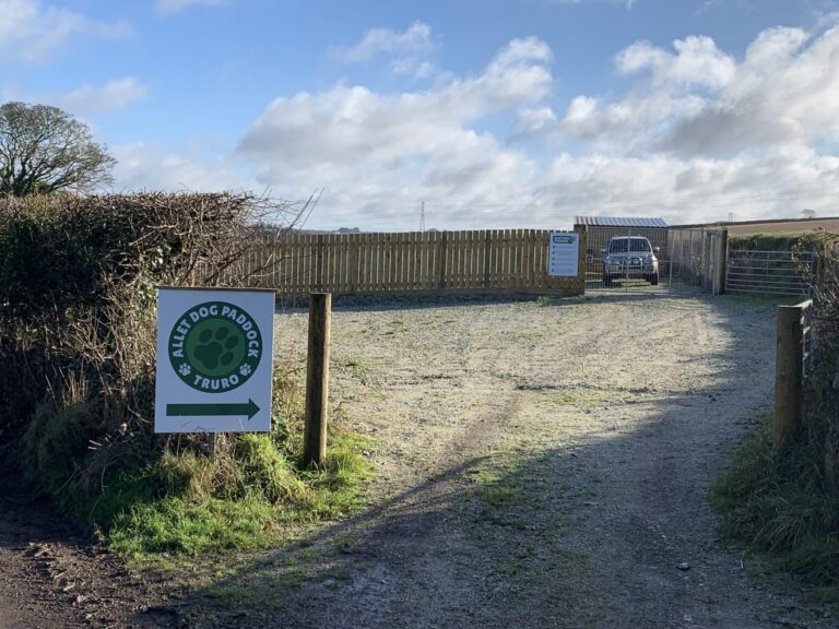 2054 84fc66f6181b7329740c5c2cb9297a20 1 scaled 768x576