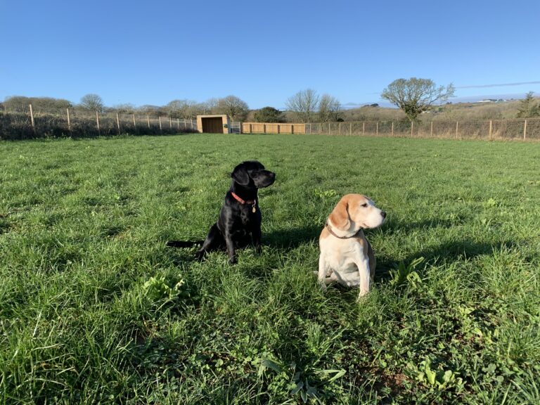 2054 fe6310c8a24ce10f5a6554efb2425547 1 768x576