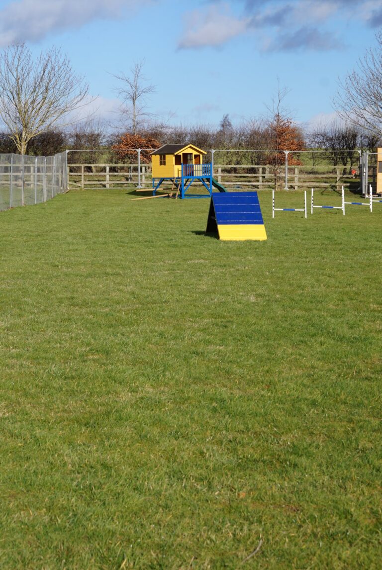 2057 0c4249018ebbc75f329e1820b9ccf155 1 768x1146