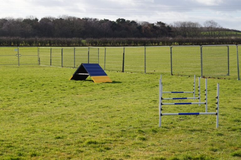 2057 2fbb3d7cfb6d5633ff60388cb0f16d12 1 768x511