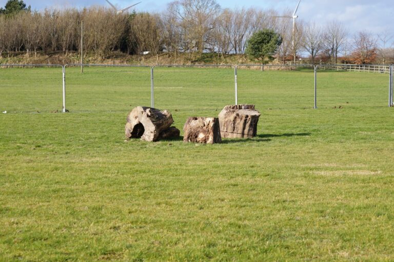 2057 6778c53ec0cb41bf48b26a3e4a66ba89 1 768x511