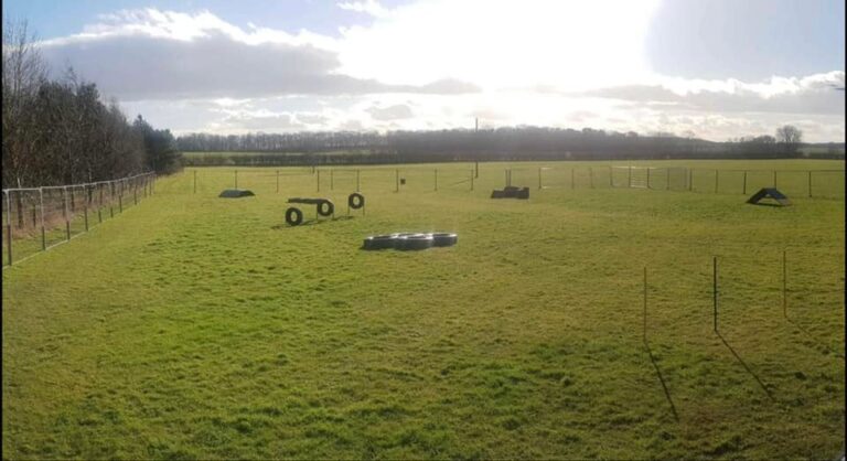 2057 e3747676261e525ad31315e4eed0b631 1 768x418