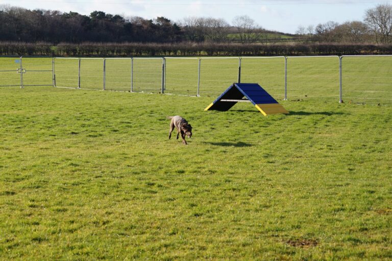 2057 eecf63f026d3c3ec64519bc9628e7fe1 1 768x511