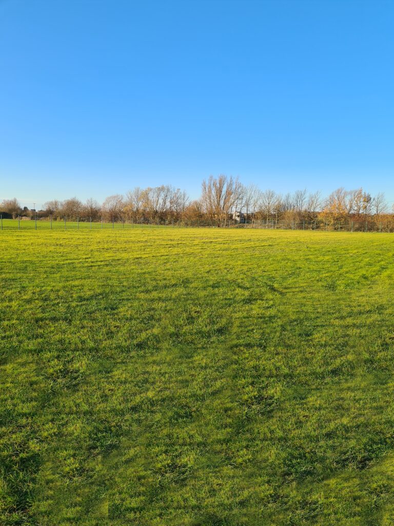 2058 4eafd74e0ec8981c47e430b6b13144bd 1 768x1024