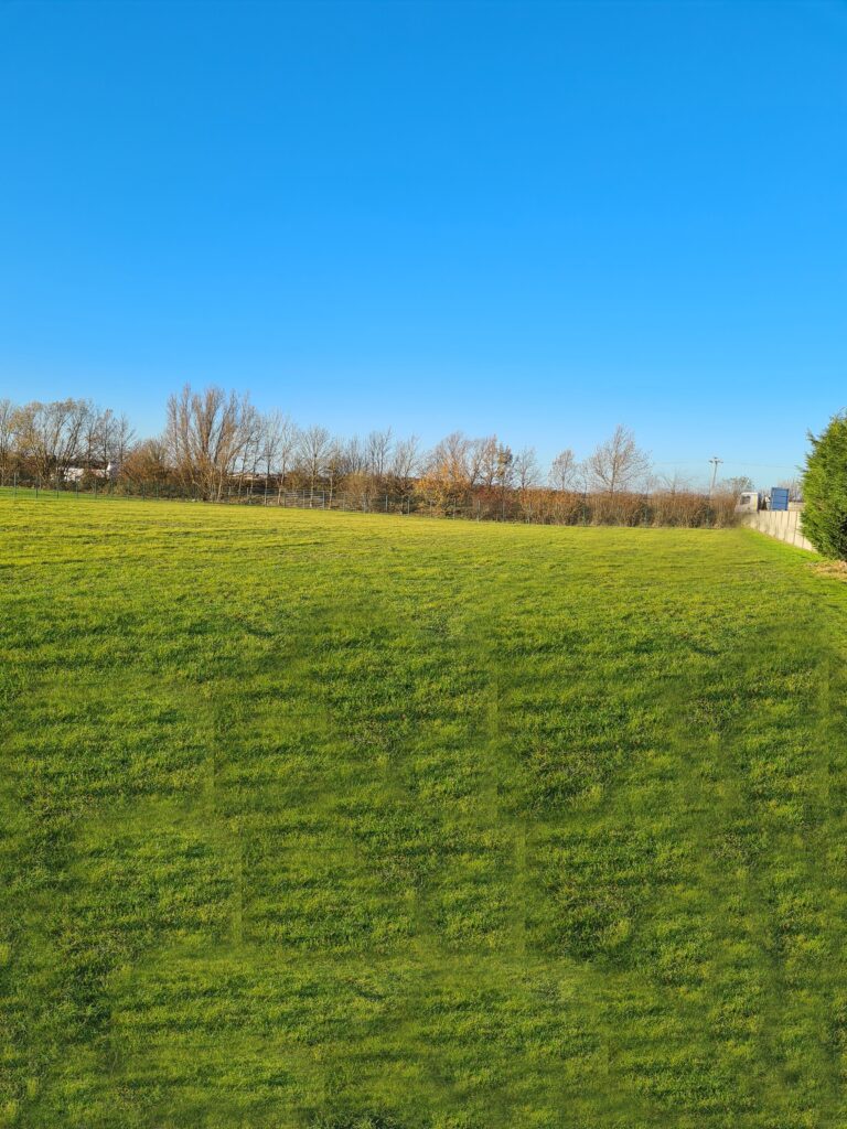 2058 8180ee40b5fe9e1d158e06bc0f20e22d 1 768x1024