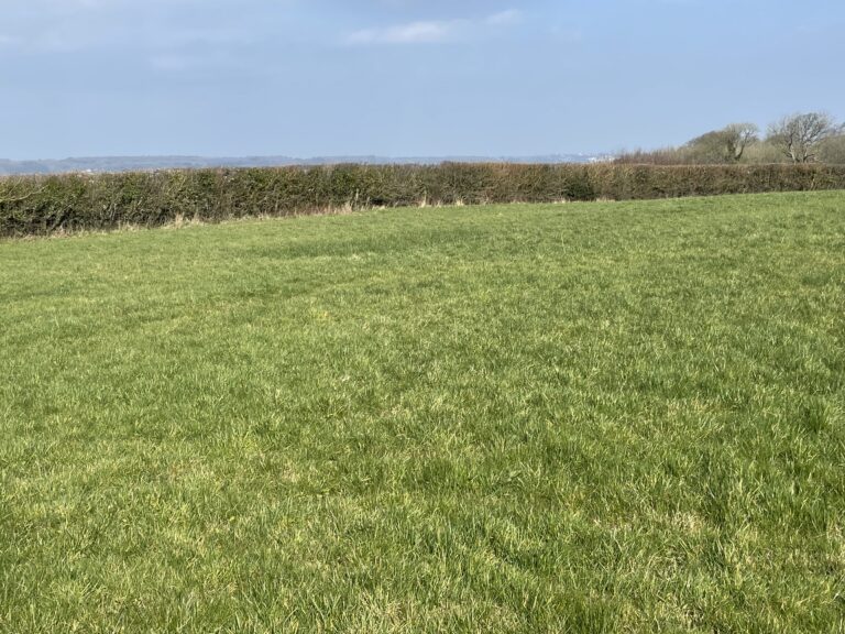 2059 5324555b55d2fccb20ba703912094ec4 1 768x576