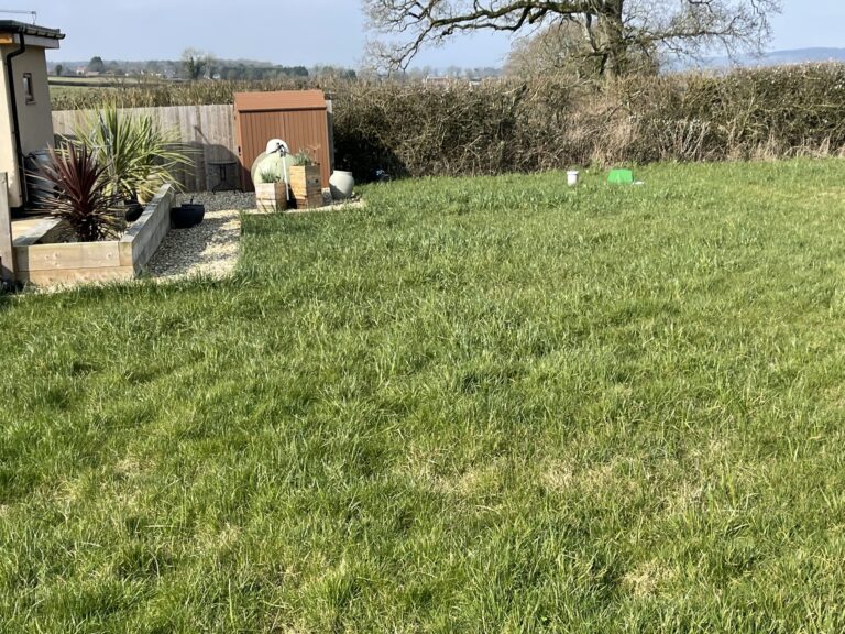 2059 623325b2cf20e1c6d1dc1c352cec12d7 1 scaled 768x576