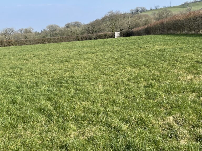 2059 e10ca7b23bf6c3f37e1c8f33644982d3 1 768x576