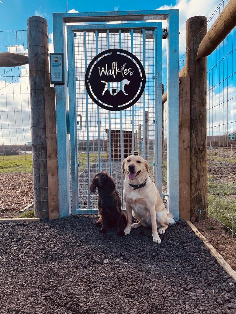 2061 a24128b24f313b3aaf68e07ad33cd80b 1