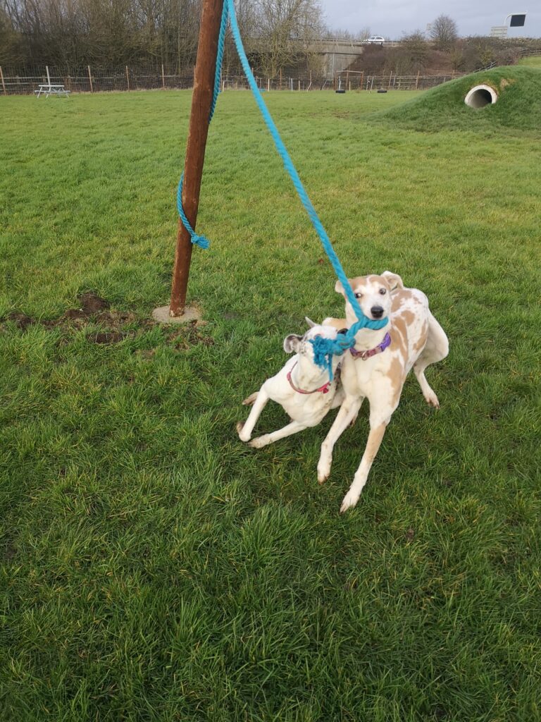 2064 d4e1e754e1e1bd755f9d881ae000483d 1 768x1024