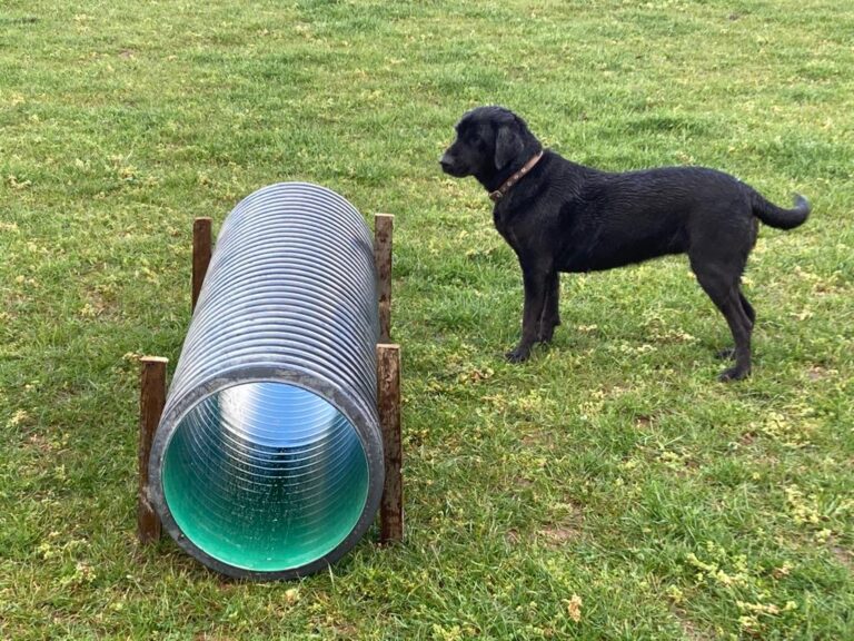 2067 b0792aca4c79ee7426b72da2ebdb3367 1 768x576