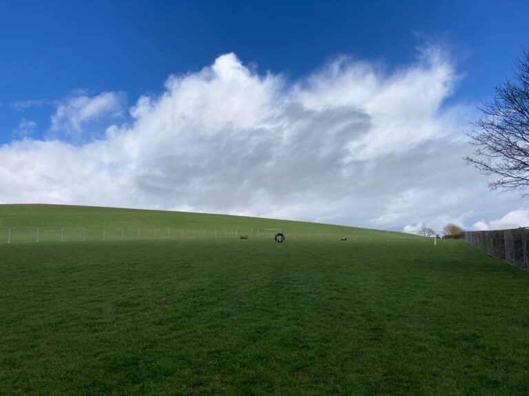 2067 f23b7febf55b4f804aa0a2f5829061e4 1 768x576