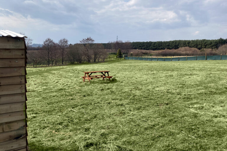 2069 4100bdc1fc7fa3c9d06cbb758f46ef88 1 768x512