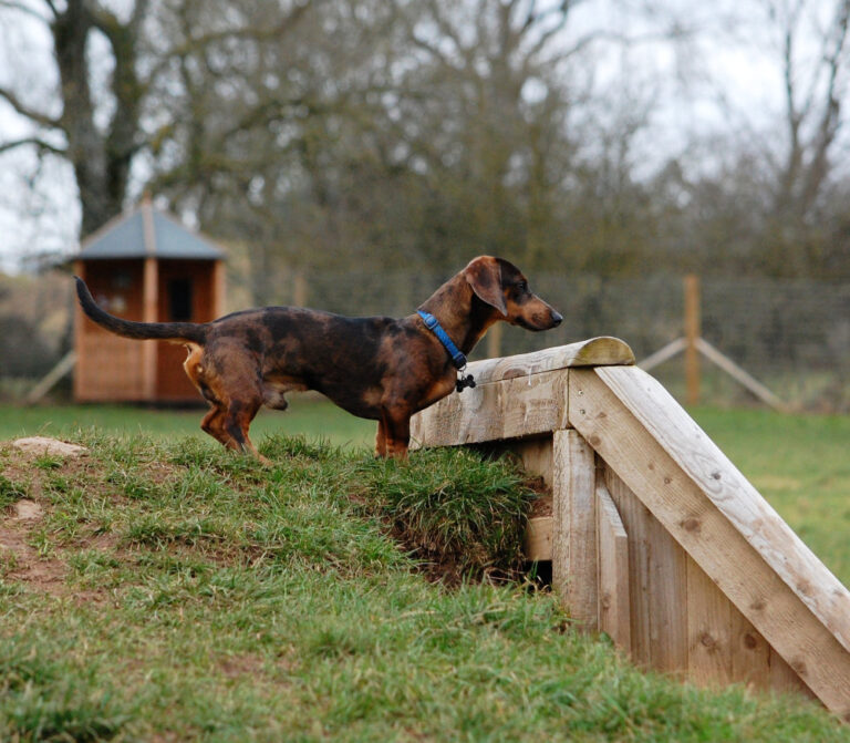 2072 2d7ea49ca3689aa0e9f2a0f58baa999c 1 768x671