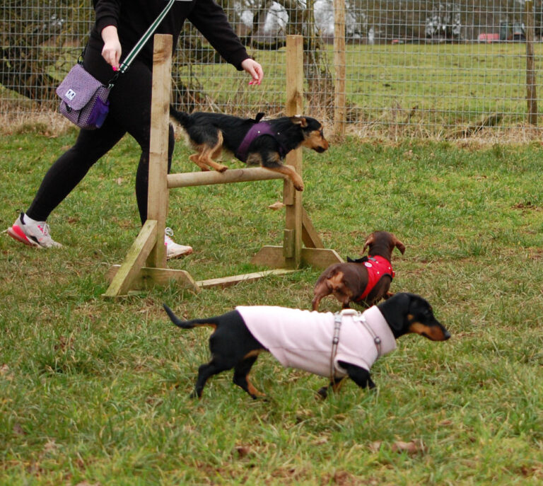 2072 32e2354c0eca93a400e9d8b9334e8350 1 768x687