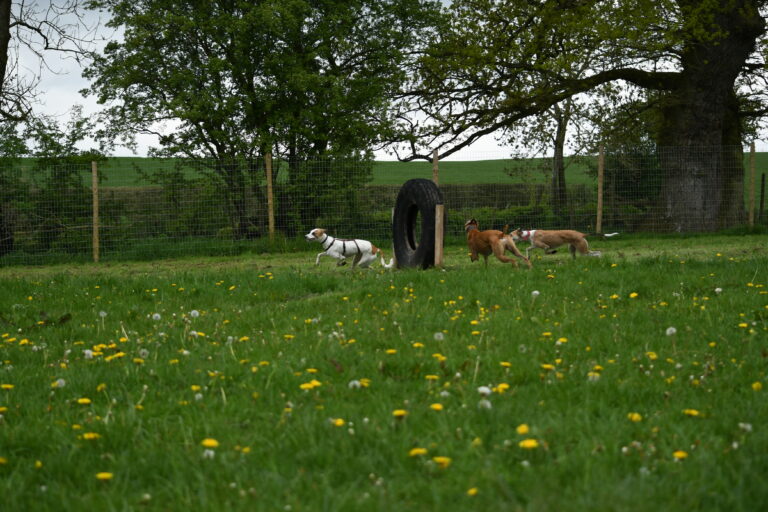 2072 46848a38a0a27c79f9bb93e315c0895c 1 768x512