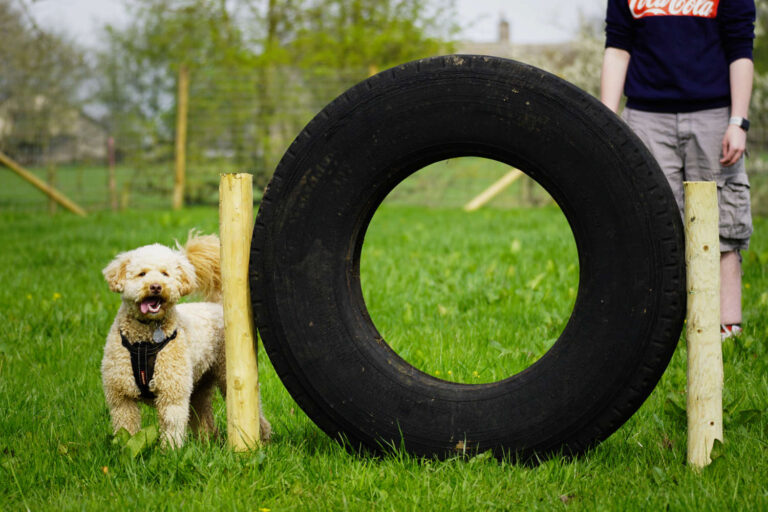 2072 8f303da59e8ac5db94ab901d7dbd1701 1 768x512