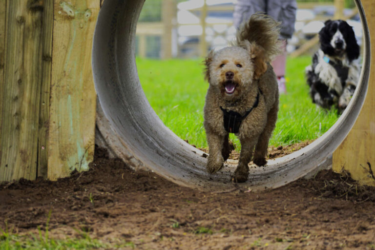 2072 b0f0e8dd1405a6a6130aec867d3c9bbf 1 768x512