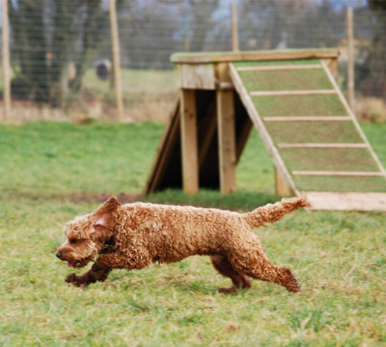 2072 b89c831edba66f7c27d6359195e85c70 1 768x690