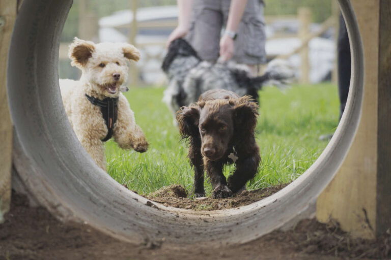 2072 c7876c863c64ae607cfd34e97eec8737 1 768x512