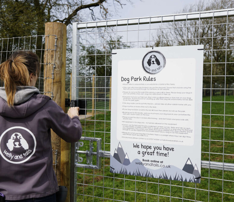 2072 dbbf5ed6a878a7bcd34bee2446ea9a6b 1 768x665