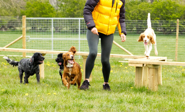 2072 df0ac828e4239ccf35e6813a8cfc68ff 1 768x466